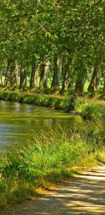 Canal des 2 mers à vélo avec La Bicyclette verte