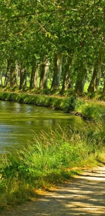 Canal des 2 mers à vélo avec La Bicyclette verte