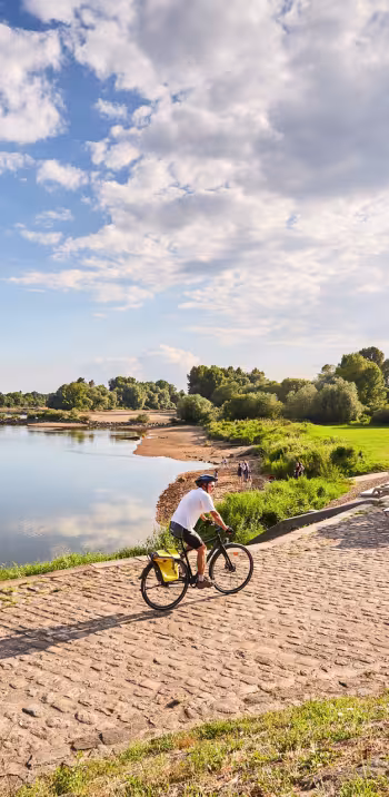 La Loire à Vélo : entre Loire et océan