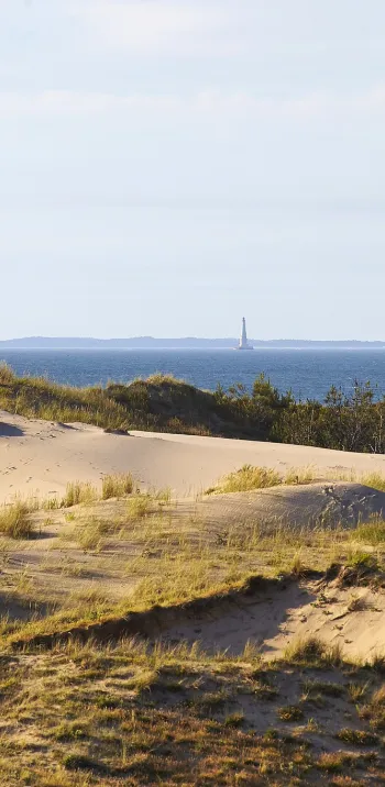 L'air du large : de Bordeaux aux plages sauvages du Médoc à vélo