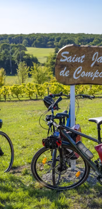 Vignoble à Sarzay