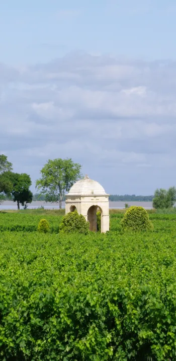 Les vignobles de Gironde à vélo