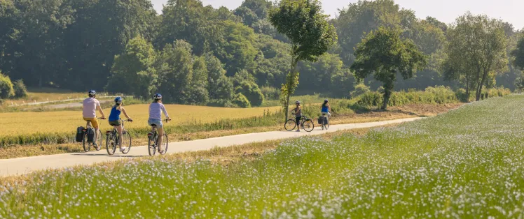 Champ de lin sur la Véloroute