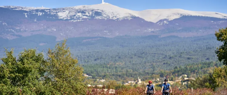 Au pied du Ventoux à vélo