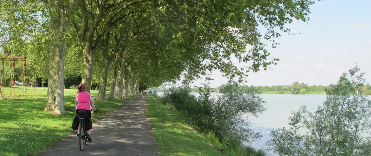 Bourgogne du Sud grands crus et art roman.jpg