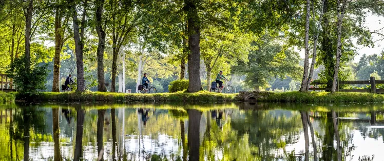 Vélos au Moulin d'Angibault à Montipouret
