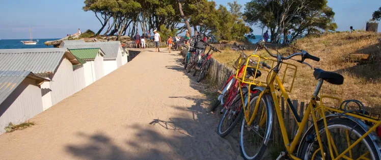 Bord de mer sur la côte atlantique
