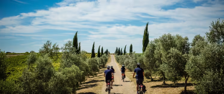 Cyclistes en Provence