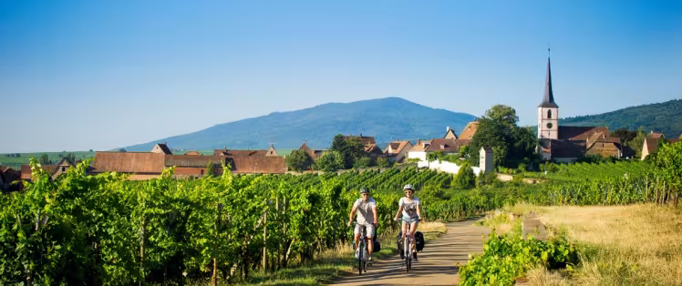 Depuis Strasbourg : Véloroute du Vignoble