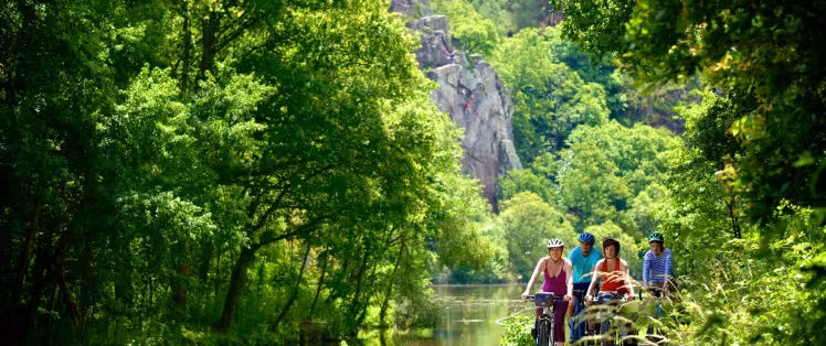 Sur La Vélodyssée