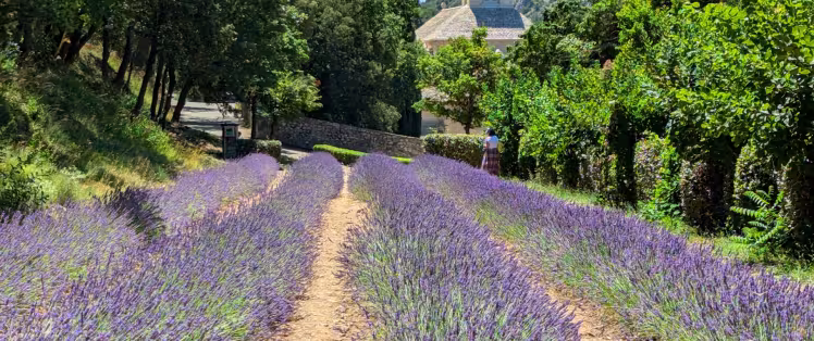 Le Luberon
