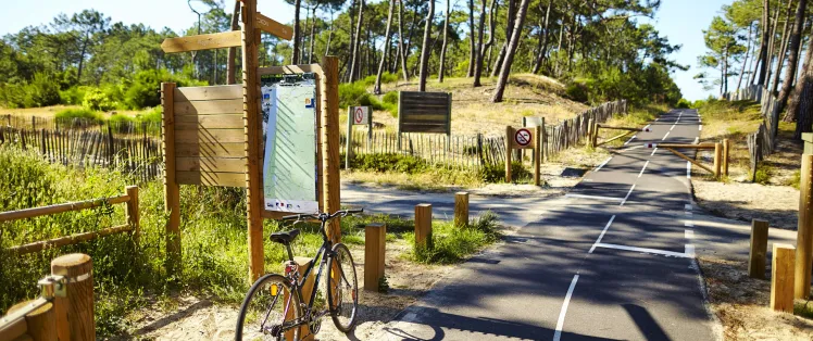 Forêt des Landes