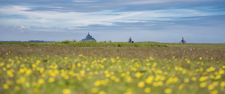 Autour du Mont-Saint-Michel