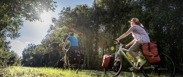 Vélo à Vouvray - Saint Jacques à vélo