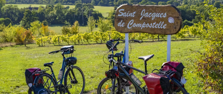 Vignoble à Sarzay