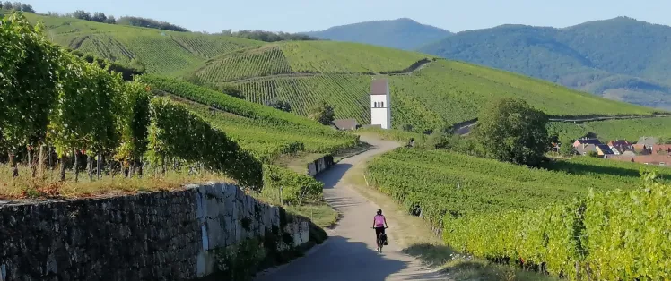 Vignobles d'Alsace