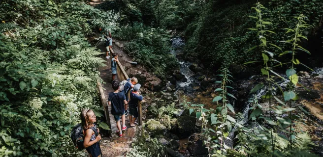 Saint-Hilaire-du-Harcouët / Mortain-Bocage