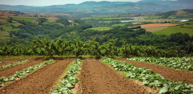 St-André-la-Côte / St-Maurice-sur-Dargoire