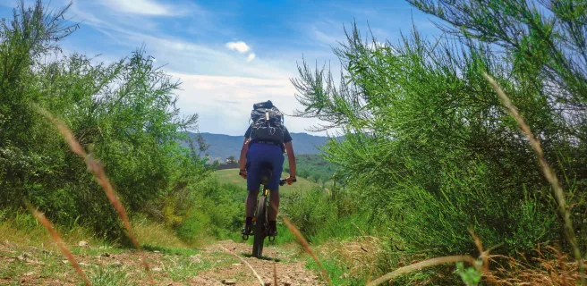 Régnié-Durette / Le Perréon