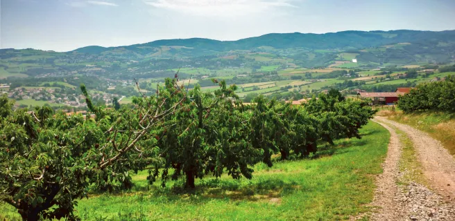 L'Arbresle / Le Martinet