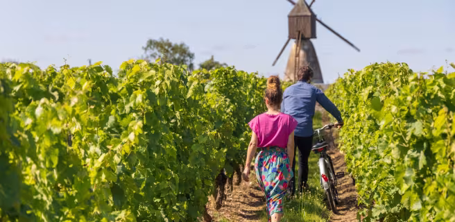 Boucle vignoble Loire, Layon, Aubance