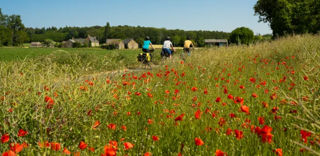 Le Mans / La Suze-sur-Sarthe