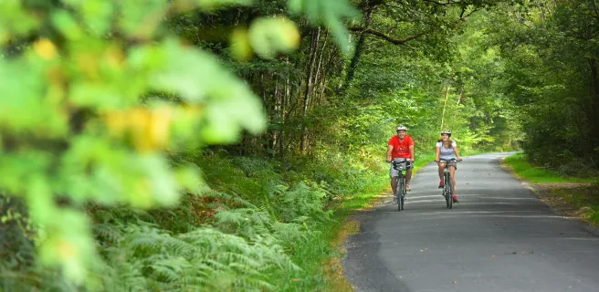 Aux portes de la plus grande forêt domaniale de France - Boucle vélo n°8