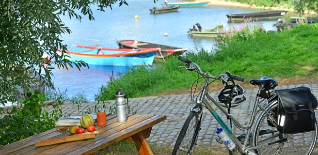 St-Florent-le-Vieil / Champtoceaux