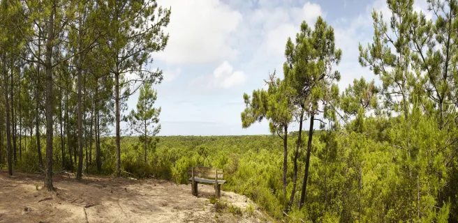 La Barre de Monts - Fromentine / St-Gilles-Croix-de-Vie