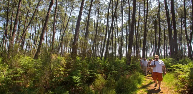 Saint-Symphorien / Salles