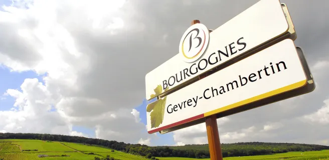 Dijon / Nuits-St-Georges