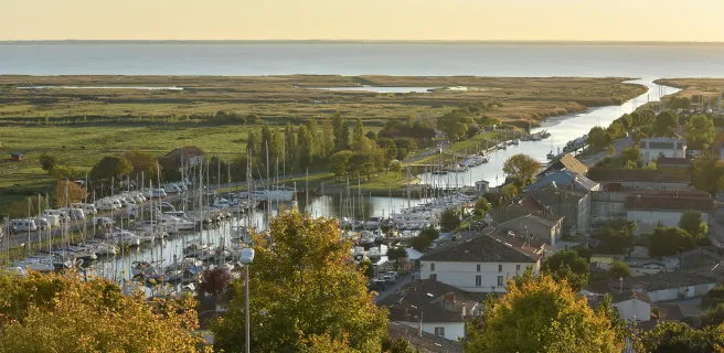 Mortagne-sur-Gironde / Vitrezay