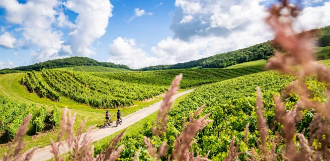 Pont-du-Navoy / Lons-le-Saunier