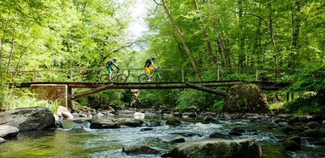 Avallon / Quarré-les-Tombes