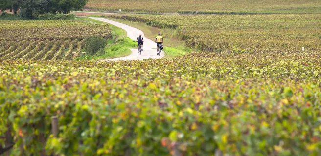 Santenay / St-Léger-sur-Dheune