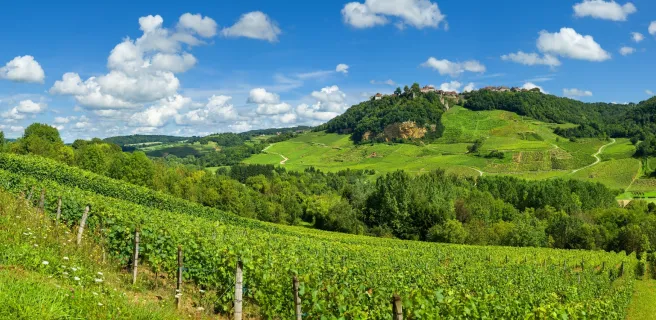 Poligny / Lons-le-Saunier (Perrigny)