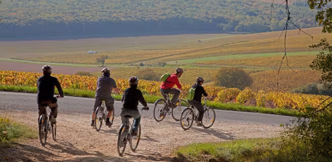La Loire et ses Coteaux - Boucle vélo n°5