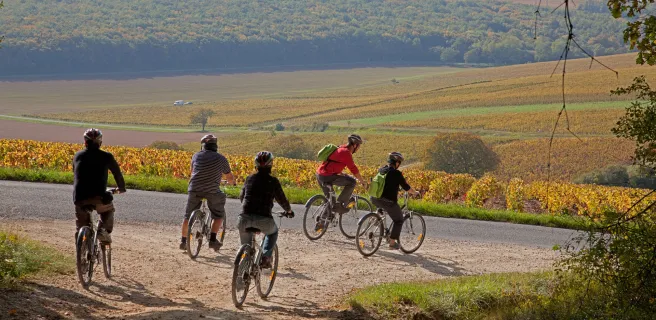 La Loire et ses Coteaux - Boucle vélo n°5