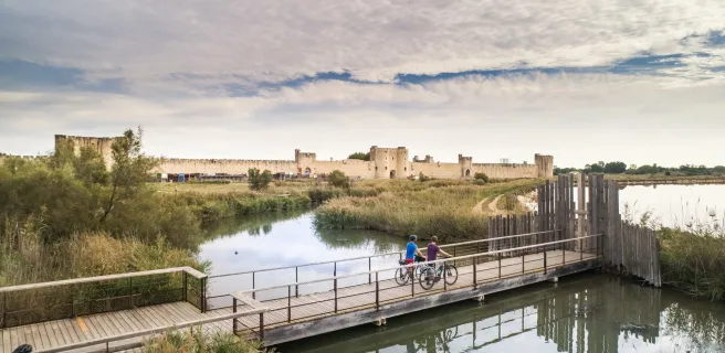 Le Grau-du-Roi / Beaucaire Tarascon