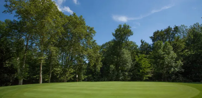 Golf Albon