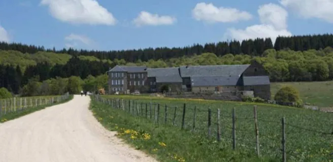 Le Sauvage en Gévaudan | Gîte "Jonquille"