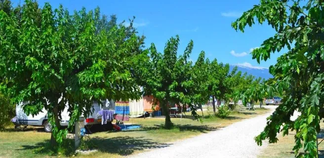 La piscine