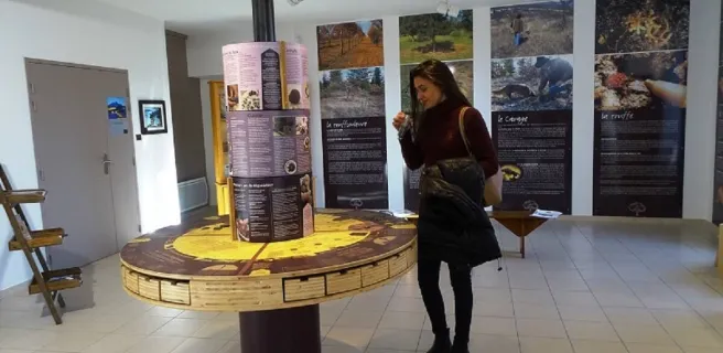 Ventoux Truffle museum