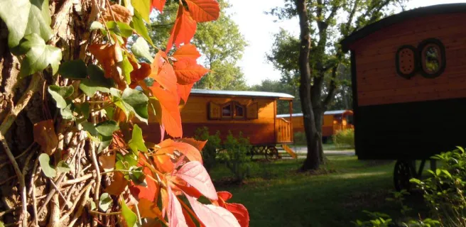 Les Roulottes de Bois-le-Roi