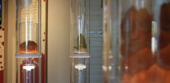 The House of Candied Fruit (La Maison du Fruit Confit)