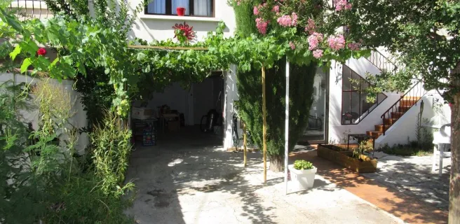 Avignonette