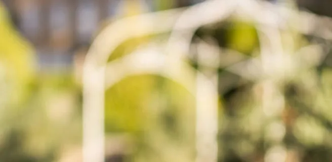 Path in the vineyards of Château Pesquié