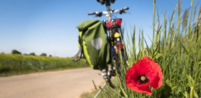 VDS Mobilité - Location de Vélos
