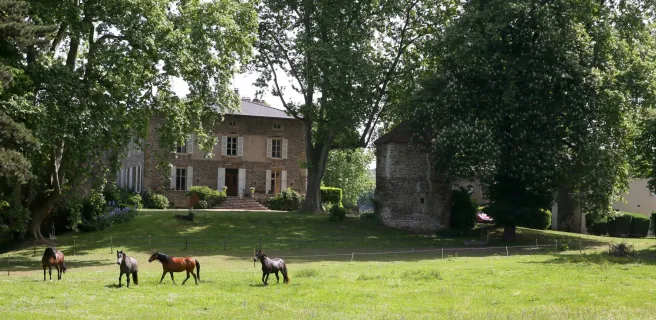Domaine La bonne Etoile