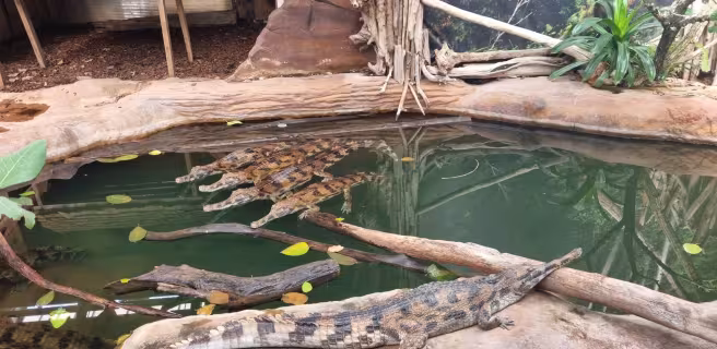 Salle de séminaire à la Ferme aux Crocodiles